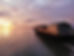 homer+alaska+where+to+go.JPG