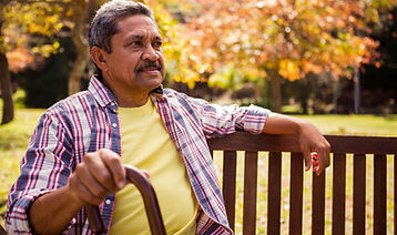 walking stick iStock-636097260.jpg