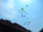Inauguration Day Celebration-balloon Fly...
