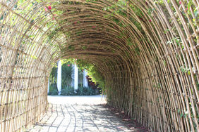 arch_pattern_shutterdyx