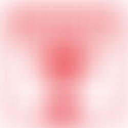 Where are the TCL agencies in Lyon?