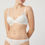 Miniatura: Frente Cueca