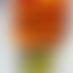 carrot curry coconut fries + avocado dip