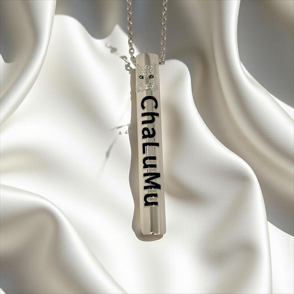 Silver plated, grounding Chalumu necklace, with our signature black brand logo and silver leopard head, on shadowy background