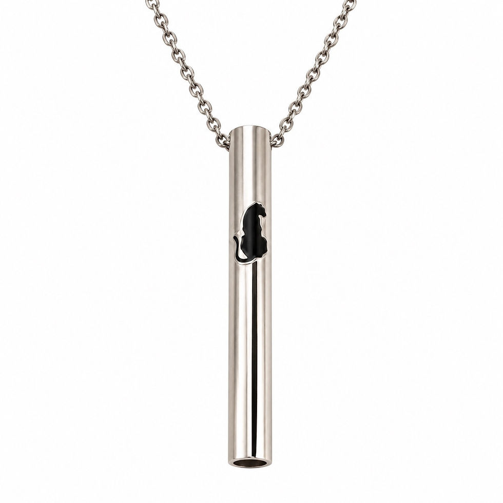 silver panther anxiety relief necklace