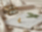 Gemini_Generated_Image_esr1aeesr1aeesr1_edited.jpg