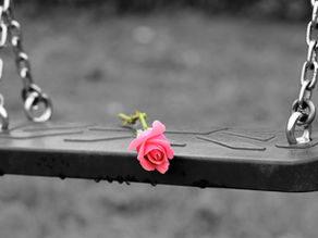 Image by Goran Horvat from Pixabay