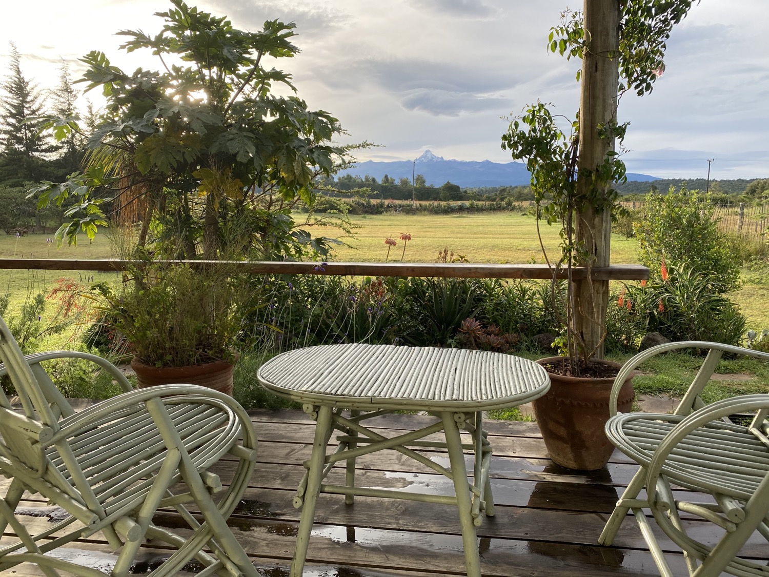 Writer: One Stop Nanyuki