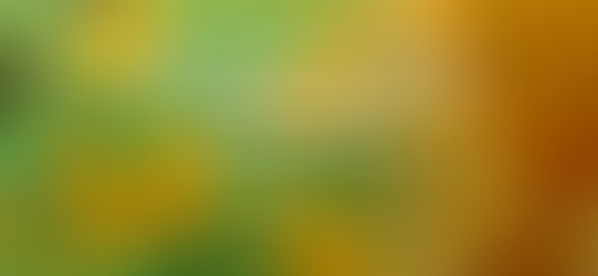 The Science Behind Meditation