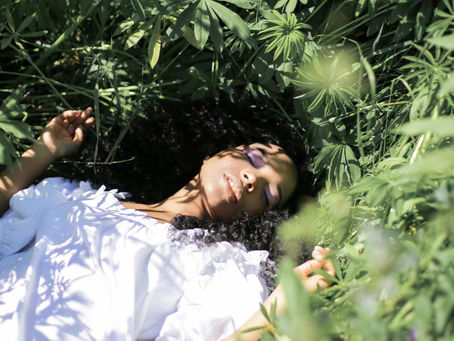 A Transformadora Conexão com a Natureza para o Equilíbrio Integral