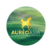 JAZZ_AUREOASIALOGO_FF_23MAY2022-01 (1).png