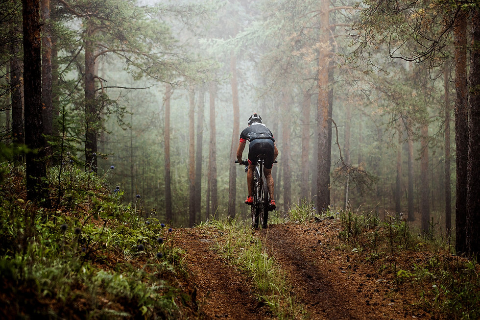 Mountain Biking 3.jpeg
