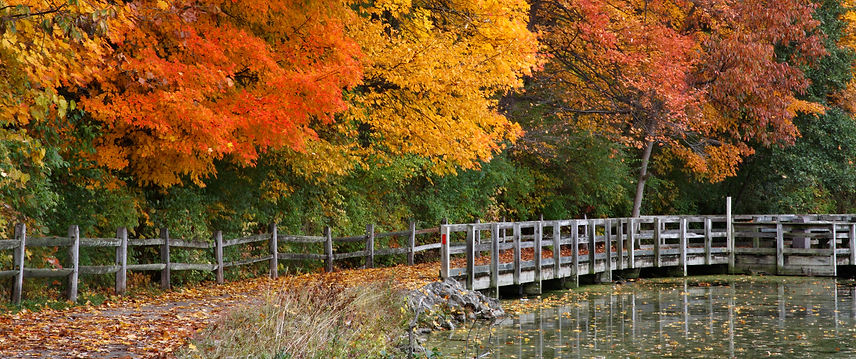 Fall Ohio Running Picture.jpeg