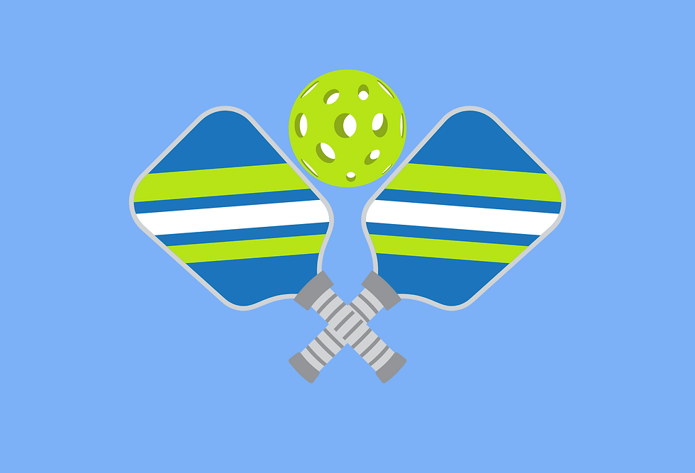 Pickleball Tournament Melaveh Malka