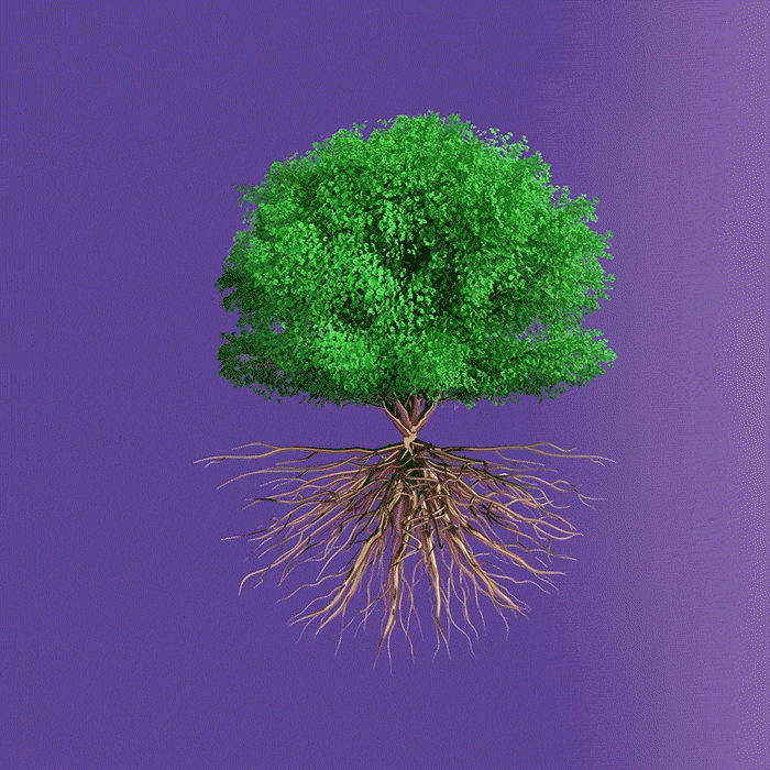 e1827559192087.5a18a827ada95.gif