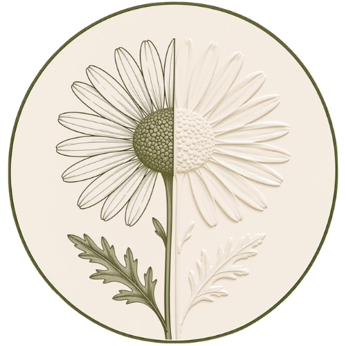 Untitled design (12).png