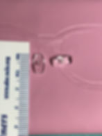 Thumbnail: Nosepads (per unit)