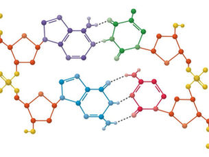 Amino Acids: Benefits for Strength, Longevity, and More