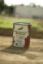 _DSF5229.JPG