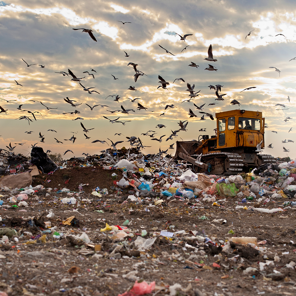 Lixao a ceu aberto.png