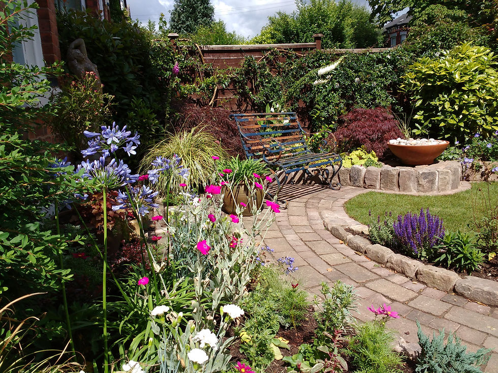 Didsbury sunny front garden