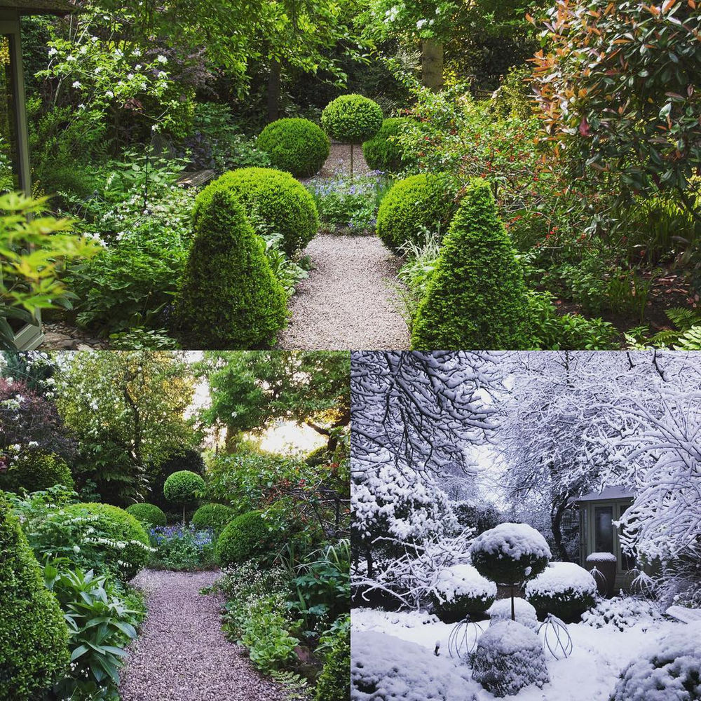 Choosing the right plants for shady gardens