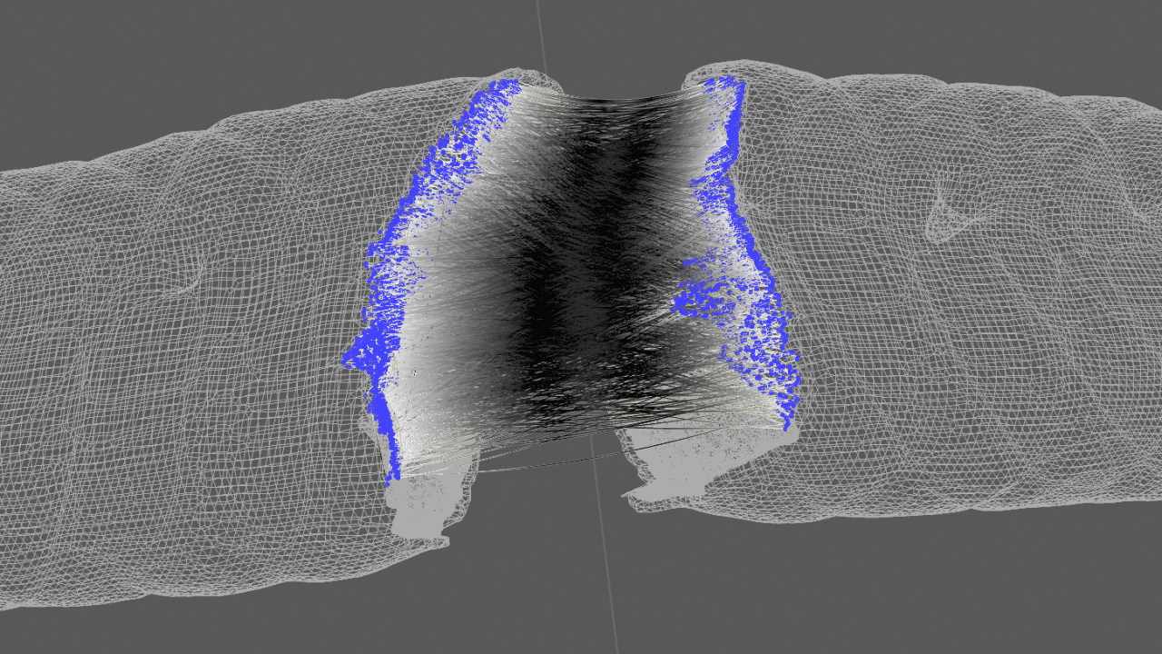 coalesce_lines.gif