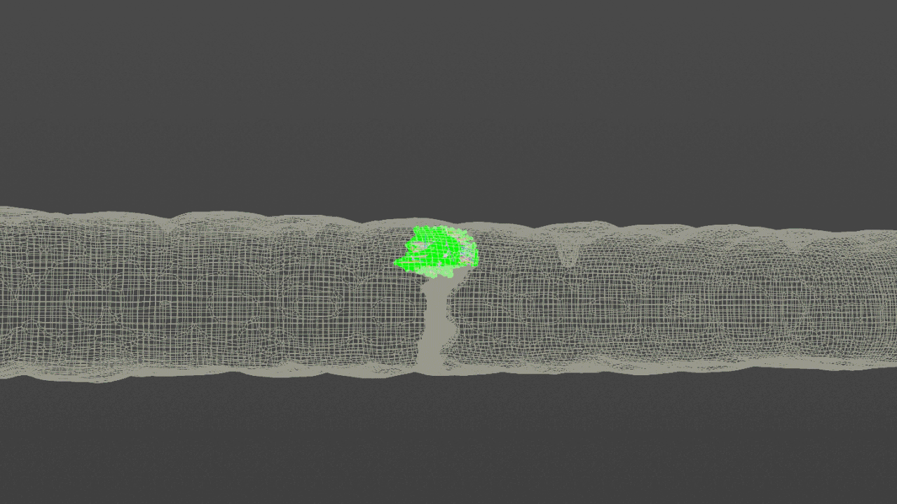 caramel_lines_parabola.gif