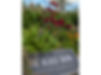 cbt-therapy-ash-canterbury-black-barn.jpg