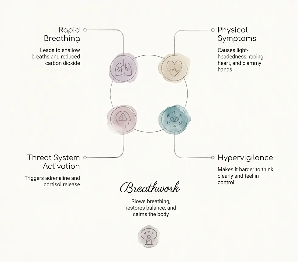 A watercolor infographic illustrating how breathwork interrupts the anxiety cycle. Four circular watercolor icons are connected in a loop: Rapid Breathing (purple, lungs icon) leading to shallow breaths; Physical Symptoms (yellow, heart icon) causing light-headedness and racing heart; Hypervigilance (teal, eye icon) making it hard to think clearly; and Threat System Activation (pink, head icon) triggering adrenaline and cortisol. Centered below, cursive text reads "Breathwork," explaining that it slows breathing, restores balance, and calms the body.