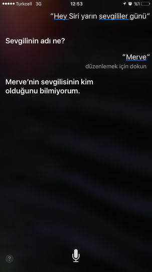 Siriyi verimli bir şekil kullanıyorumsunuz?