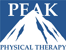 Peak logo blue.PNG