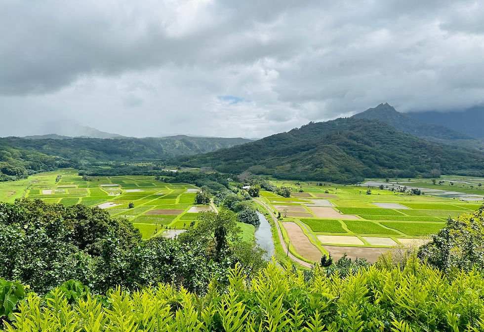 Hanalei Valley Lookout