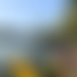 Devotion Meets Relaxation: Guruvayur & Coastal Experience