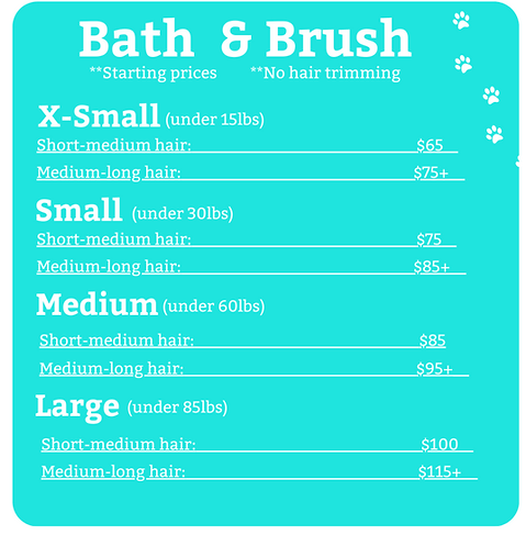 Bath & Brush prices