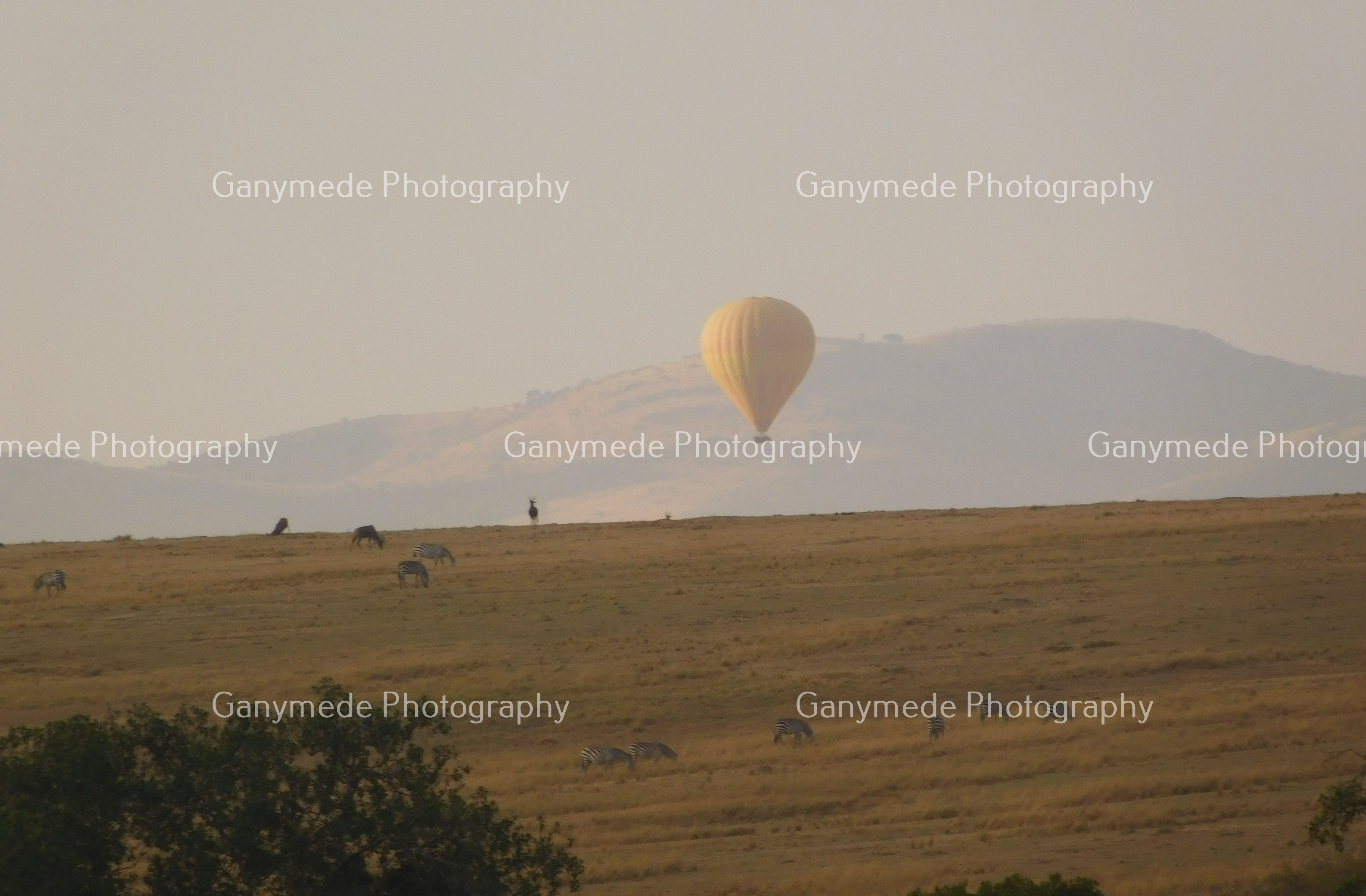 A quiet landscape with a hot iar ballon in the Masai Mara, Kenya