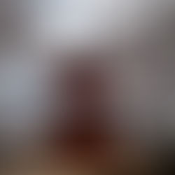 Mr. & Mrs. Wood Japan trip with Audley 