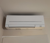 IMG_20220722_210314.jpg