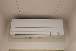 IMG_20220722_210325.jpg