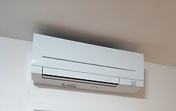 IMG_20220722_210350.jpg
