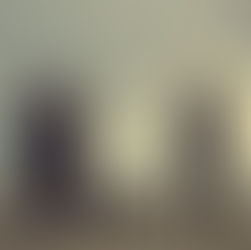 THE BANSHEES OF INISHERIN