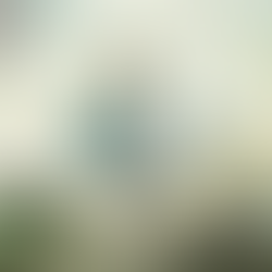 THE BOY AND THE HERON