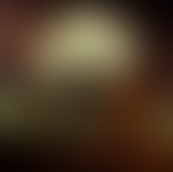 TEENAGE MUTANT NINJA TURTLES: MUTANT MAYHEM