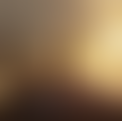 THE BOYS IN THE BOAT