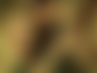 JUNGLE CRUISE