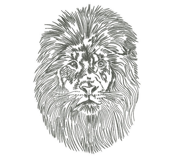 Thumbnail: Lion