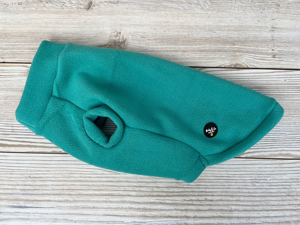 Thumbnail: Chihuahua Double sided fleece - solid colours