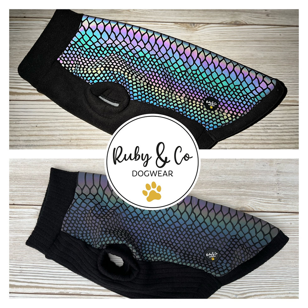 Thumbnail: Dachshund Reflective, polar fleece