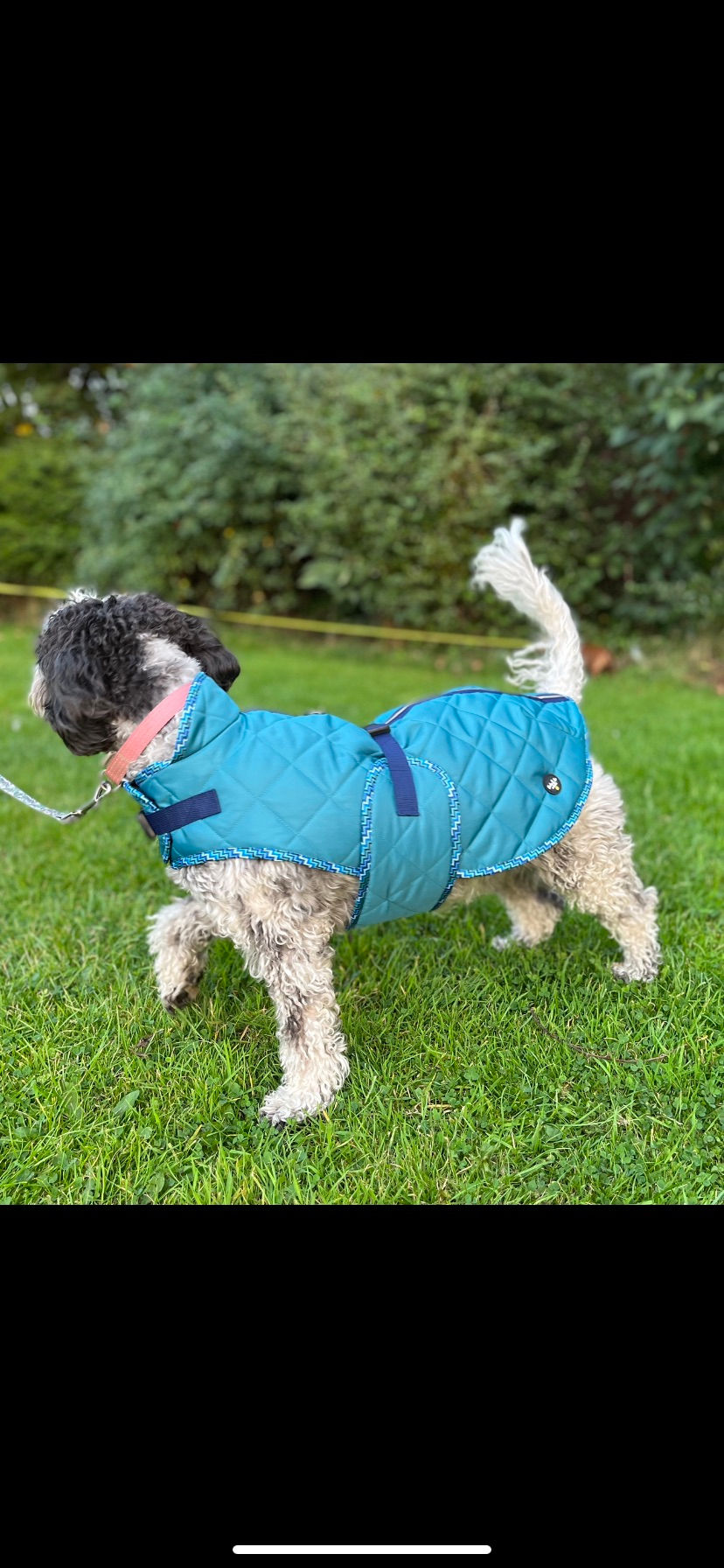 Thumbnail: General Dog Quilted Coat