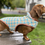 Thumbnail: Dachshund Houndstooth Wool Coat